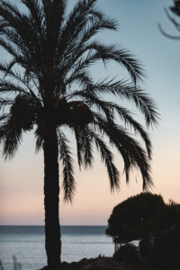 hotel victoria roquebrune cap martin