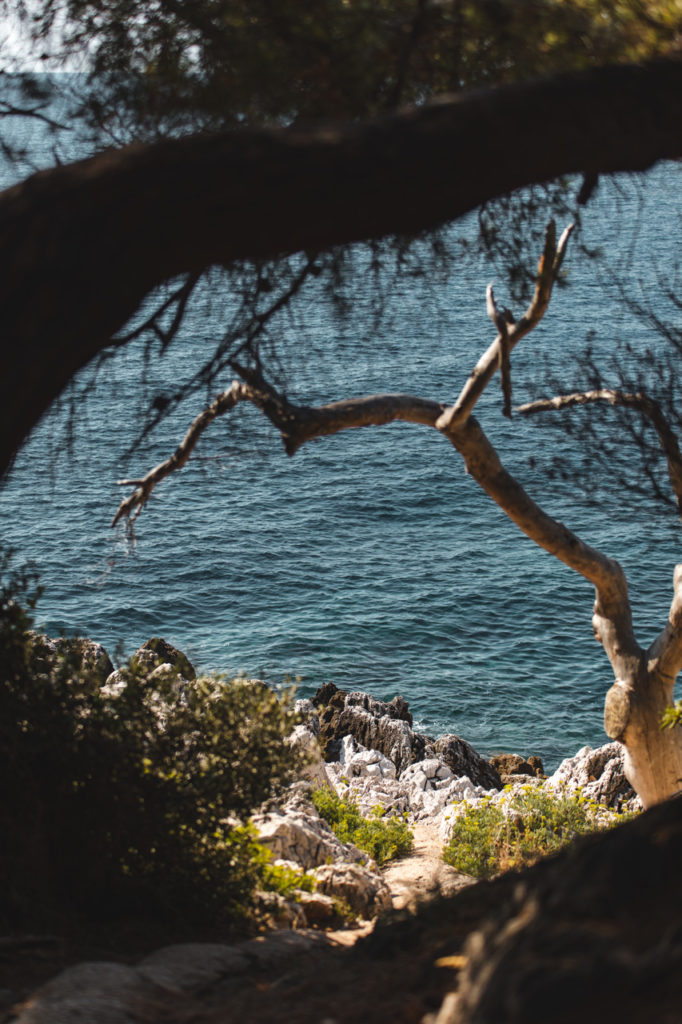 sentier du littoral roquebrune cap martin