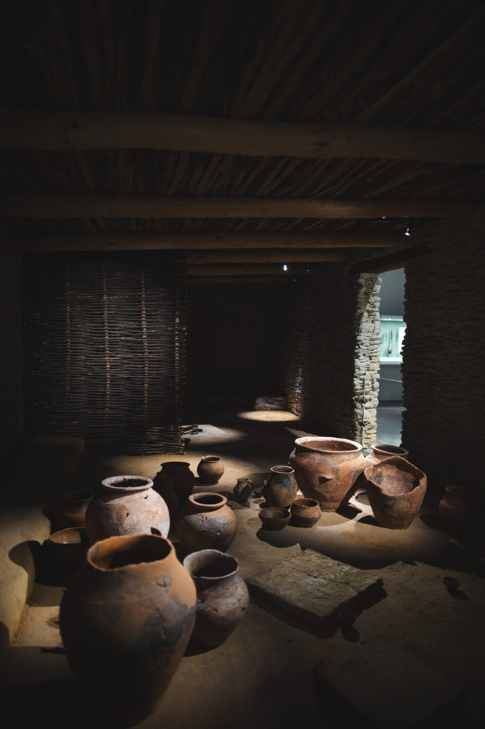 musée de la romanité nimes