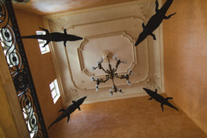 crocodiles mairie nimes