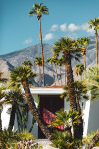 portes palm springs