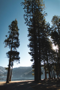 pinecrest lake californie