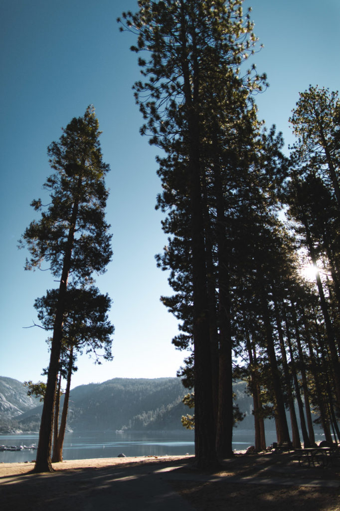 pinecrest lake californie