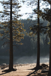 pinecrest lake californie