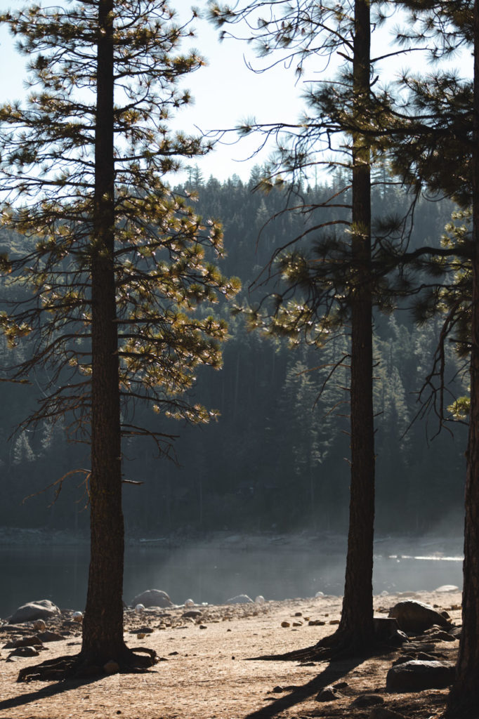 pinecrest lake californie