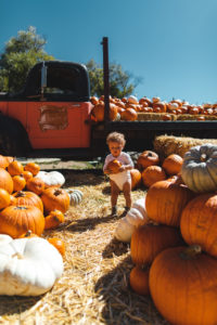 cover's apple ranch californie