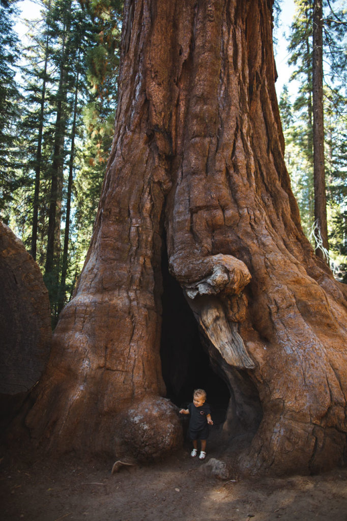 king's canyon californie