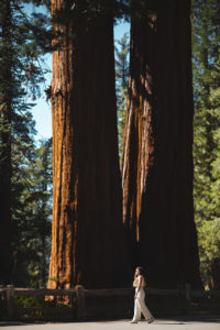 king's canyon californie