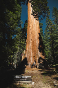 king's canyon californie general grant