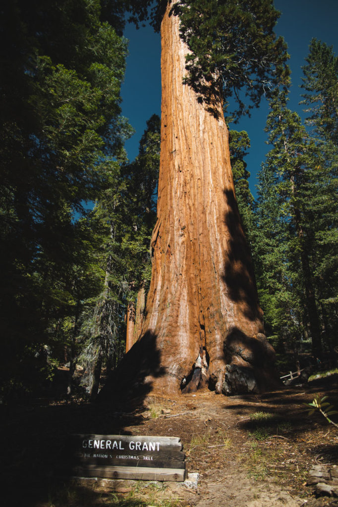 king's canyon californie general grant