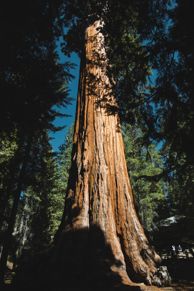 king's canyon californie general grant