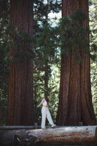 king's canyon californie