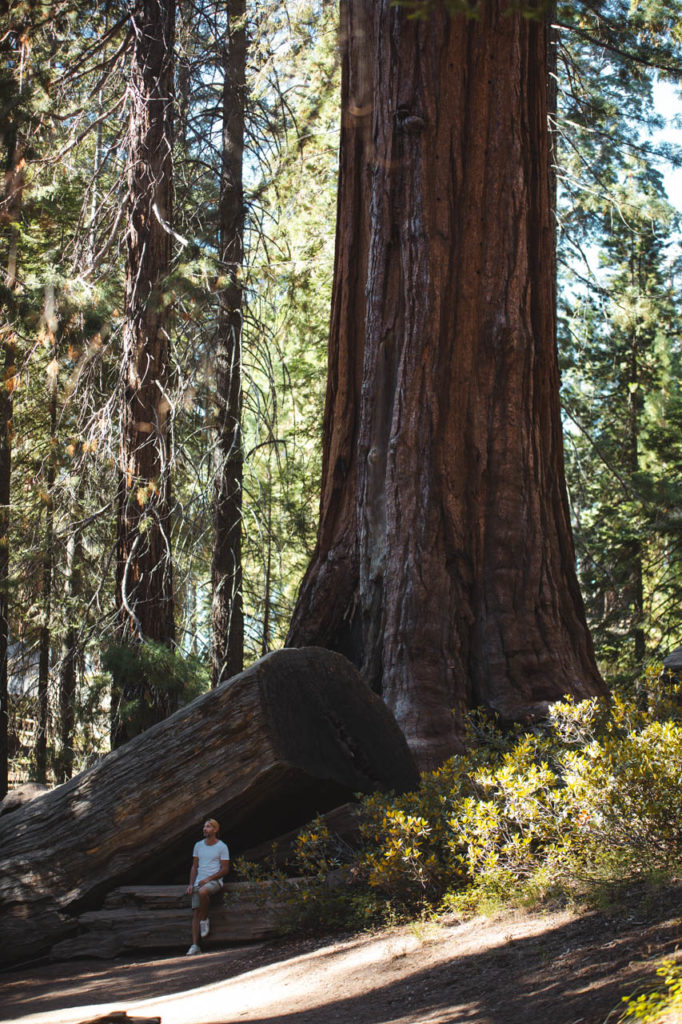 king's canyon californie