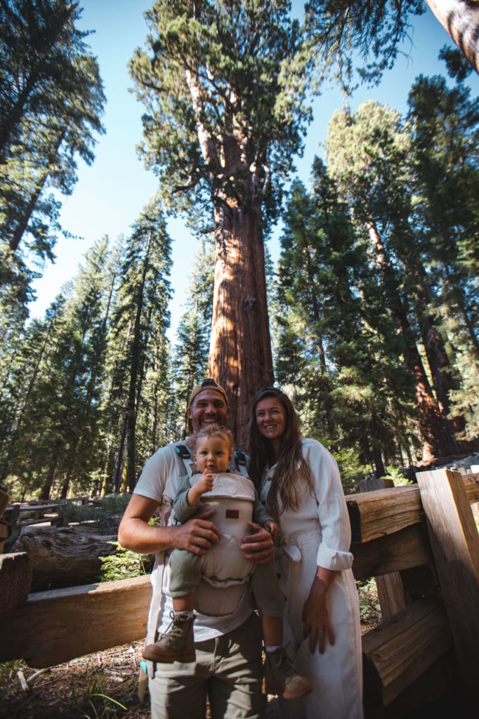 general sherman sequoia NP californie