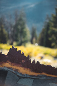 minaret mammoth lake
