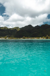 nager avec baleines moorea