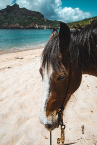 balade cheval marquises