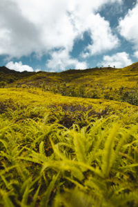 randonnée nuku hiva
