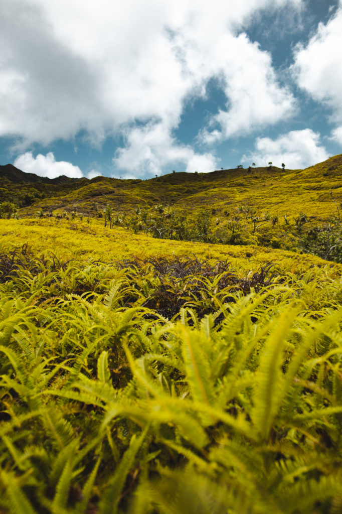 randonnée nuku hiva