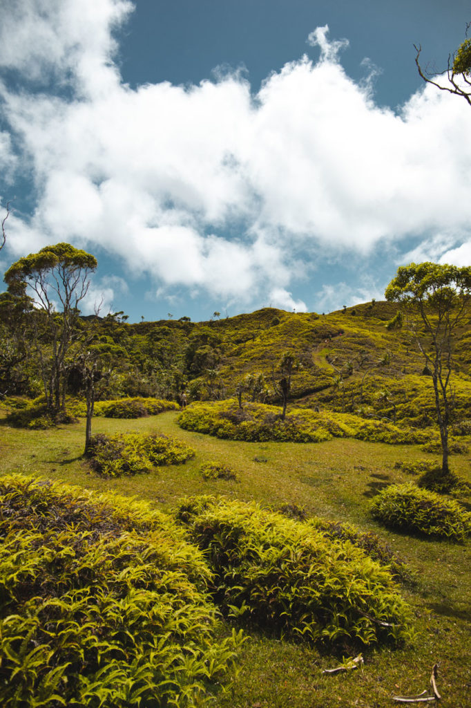 randonnée nuku hiva