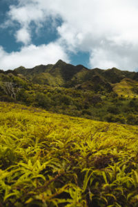 randonnée nuku hiva