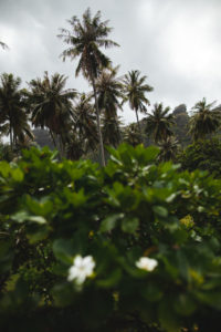Tahuata Hiva Oa Marquises