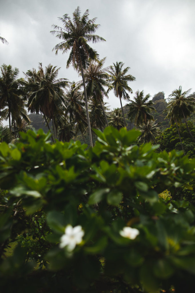 Tahuata Hiva Oa Marquises