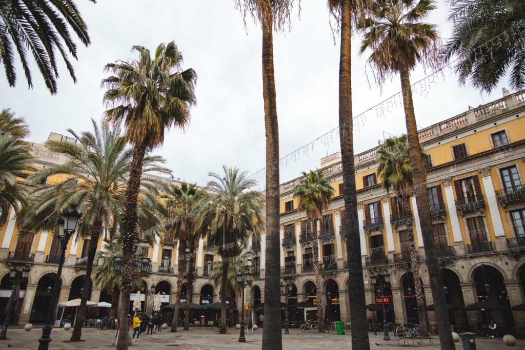 placa reial barcelone