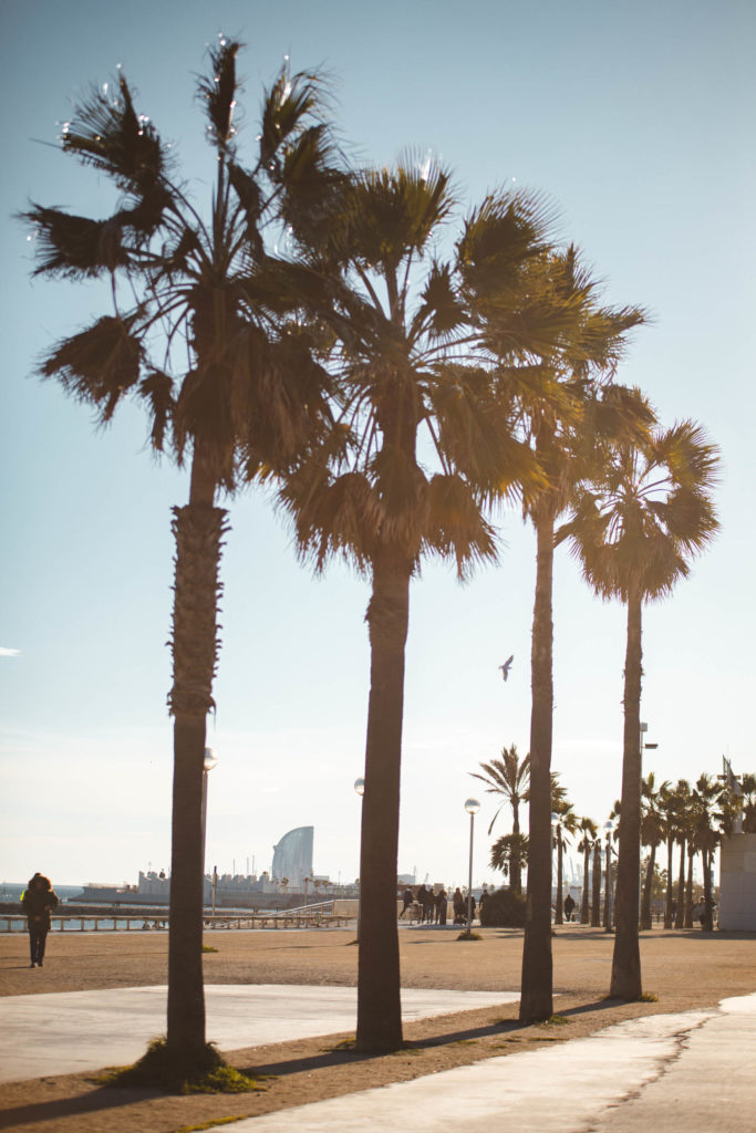 bord de mer barcelone