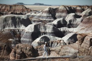 itinéraire Ouest americain Petrified forest