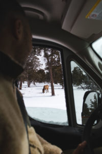 road trip van usa