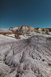 itinéraire Ouest americain Petrified forest
