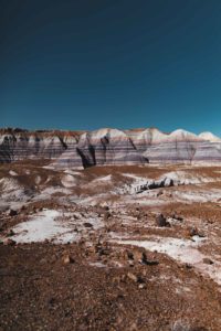 itinéraire Ouest americain Petrified forest