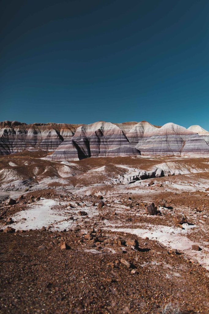 itinéraire Ouest americain Petrified forest