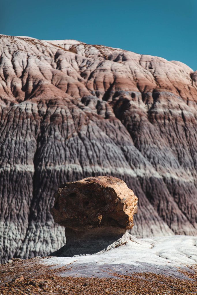 itinéraire Ouest americain Petrified forest