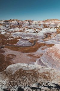 itinéraire Ouest americain Petrified forest