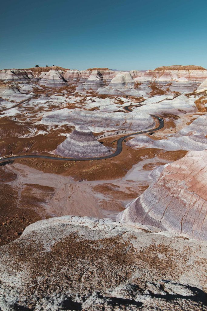 itinéraire Ouest americain Petrified forest