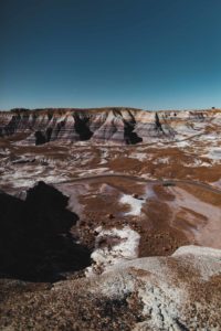 itinéraire Ouest americain Petrified forest