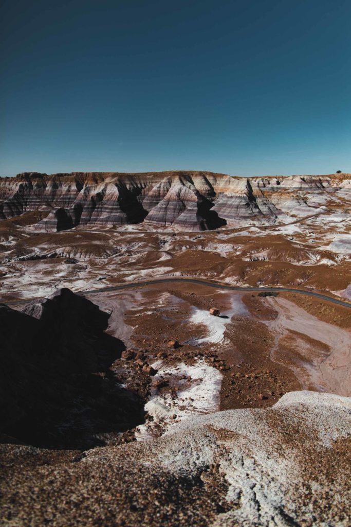 itinéraire Ouest americain Petrified forest