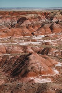 itinéraire Ouest americain Petrified forest