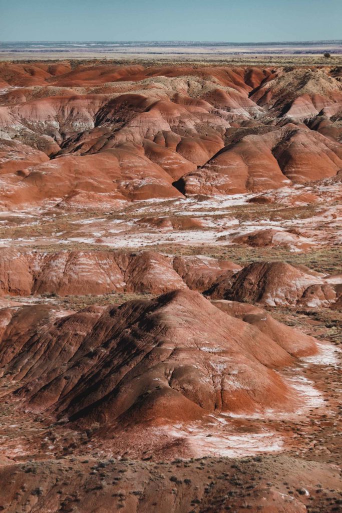 itinéraire Ouest americain Petrified forest
