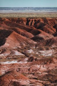 itinéraire Ouest americain Petrified forest