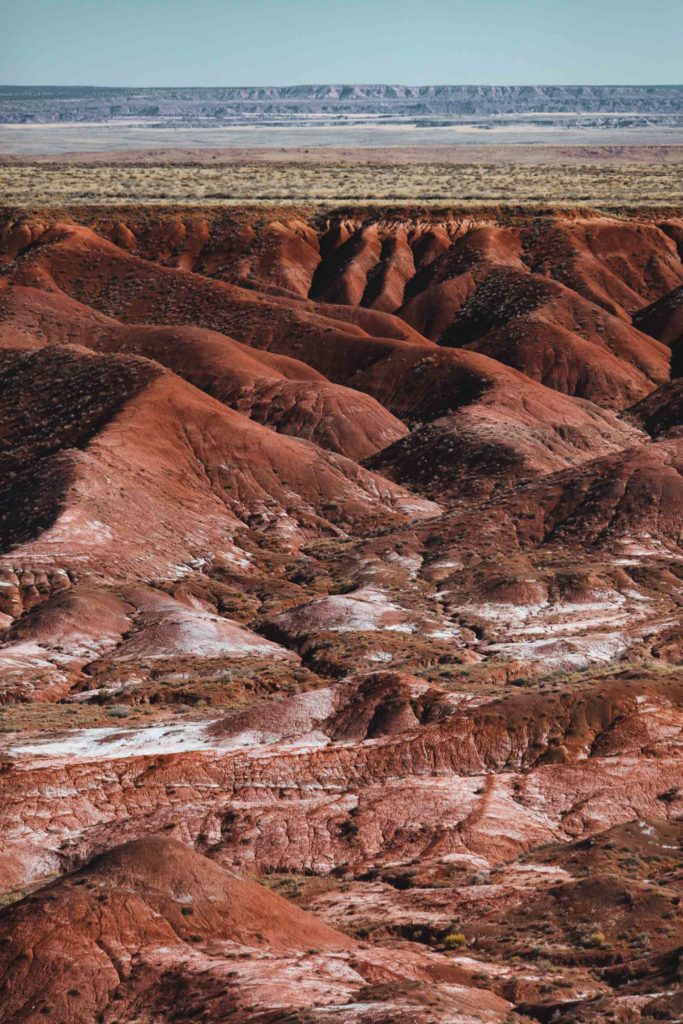 itinéraire Ouest americain Petrified forest