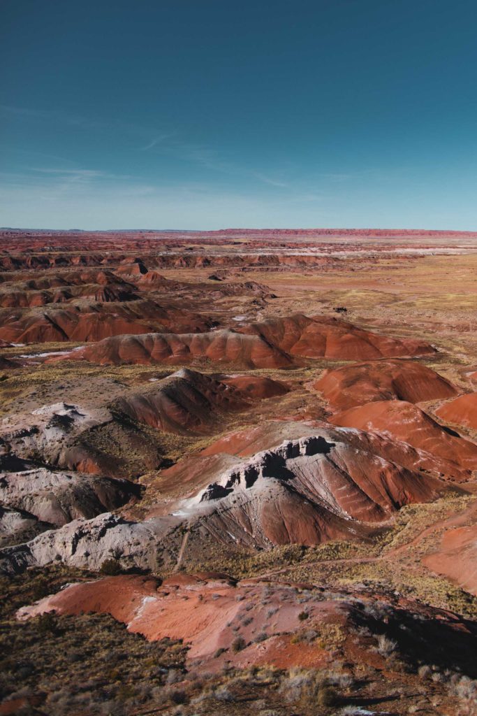 itinéraire Ouest americain Petrified forest