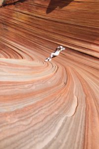 the wave arizona USA