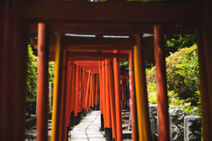 sanctuaire de Nezu-jinja tokyo