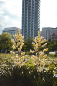parc ueno tokyo