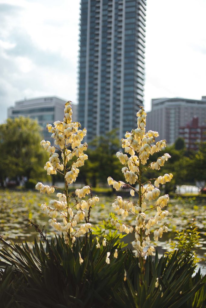 parc ueno tokyo