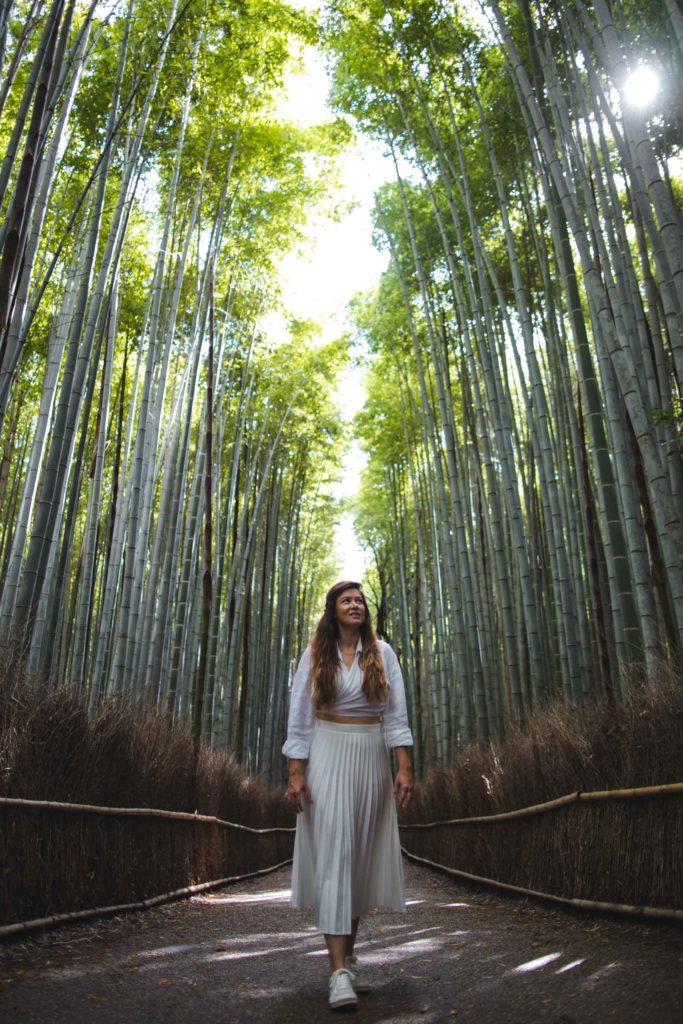 foret de bambou kyoto