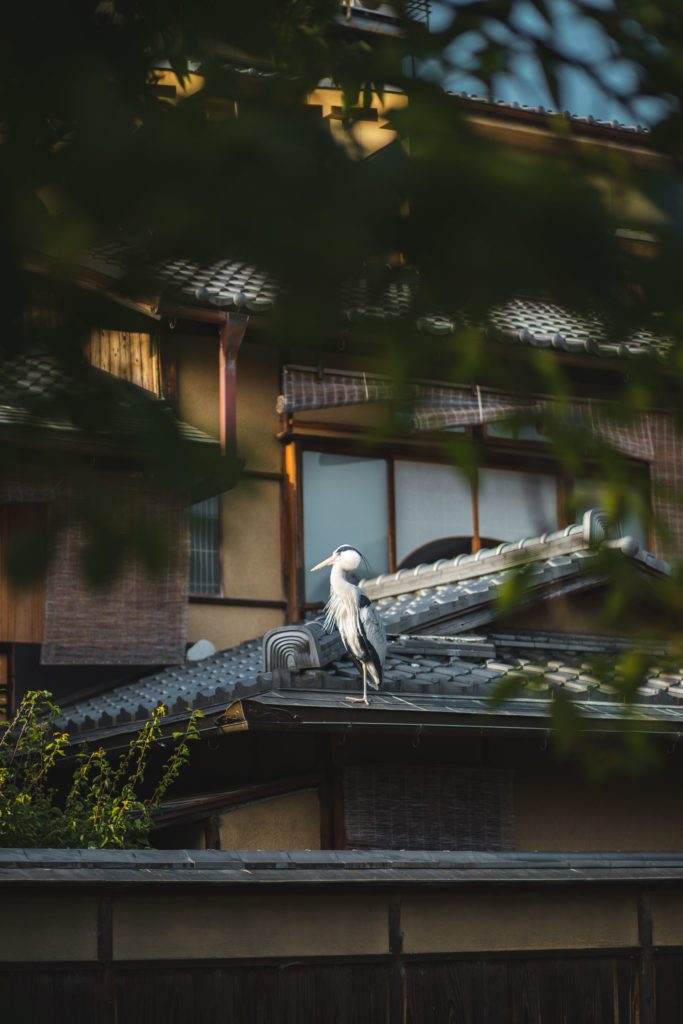 Gion Kyoto